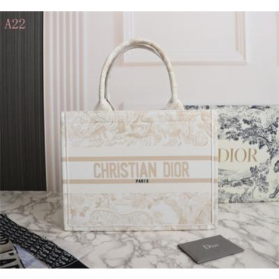 Dior Bags AAA 046